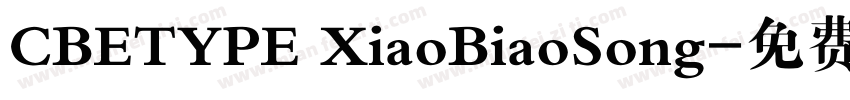 CBETYPE XiaoBiaoSong字体转换